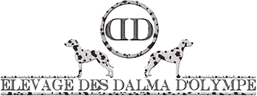 Logo_header