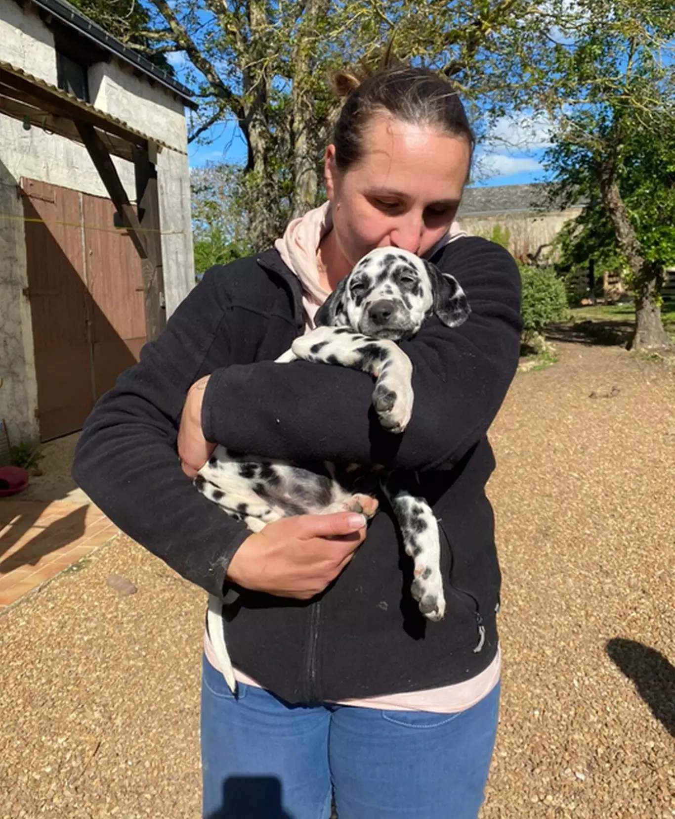 Spécificités de la race Dalmatien